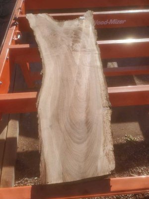 Claro Walnut Slab Lumber