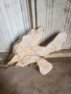 Olive Wood Cookie Lumber