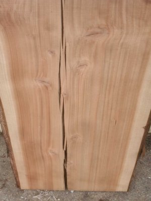 Coastal Redwood Slab Lumber