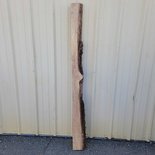 California White Oak / Valley Oak Slab Lumber