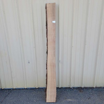 California White Oak / Valley Oak Slab Lumber