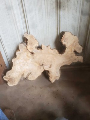 Olive Wood Cookie Lumber
