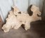 Olive Wood Cookie Lumber