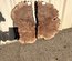 Claro Walnut Cookie Lumber