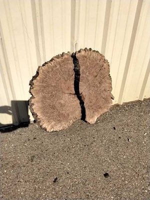 Claro Walnut Cookie Lumber