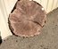 Claro Walnut Cookie Lumber