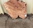 Pacific Madrone Cookie Lumber