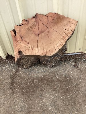 Pacific Madrone Cookie Lumber