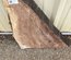 English Walnut Slab Lumber