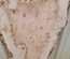 Cottonwood Slab Lumber