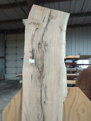 California White Oak / Valley Oak Slab Lumber