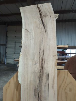 California White Oak / Valley Oak Slab Lumber
