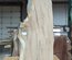 California White Oak / Valley Oak Slab Lumber