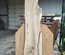 California White Oak / Valley Oak Slab Lumber