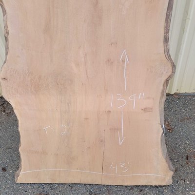 American Sycamore Slab Lumber