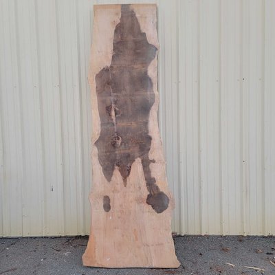 American Sycamore Slab Lumber