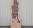 American Sycamore Slab Lumber