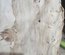 Cottonwood Slab Lumber